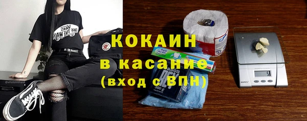 сатива Абинск