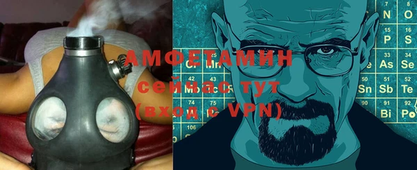 СК Алексин