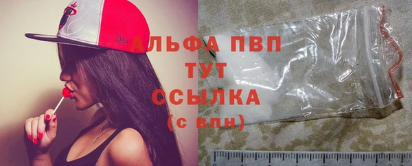 сатива Абинск